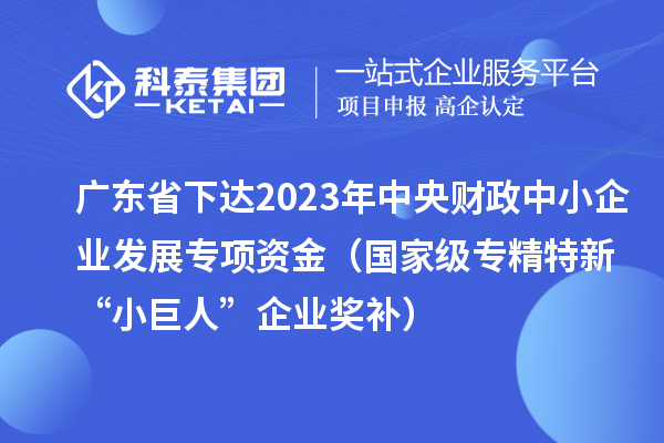 廣東省下達(dá)2023年中央財(cái)政中小企業(yè)發(fā)展專項(xiàng)資金（國家級專精特新“小巨人”企業(yè)獎補(bǔ)）