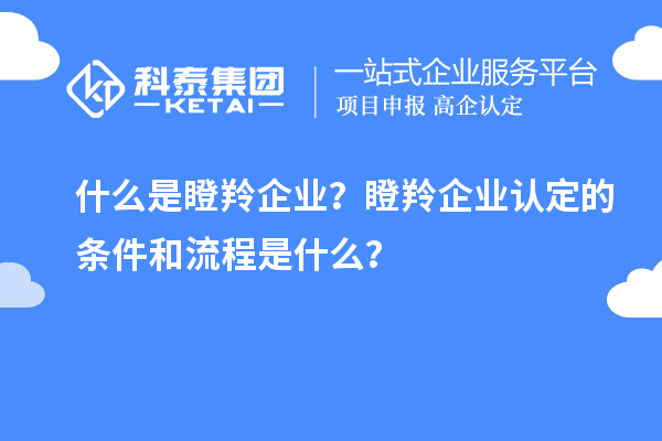 什么是瞪羚企業(yè)？瞪羚企業(yè)認定的條件和流程是什么？