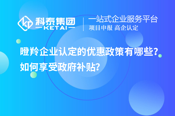 瞪羚企業(yè)認定的優(yōu)惠政策有哪些？如何享受政府補貼？