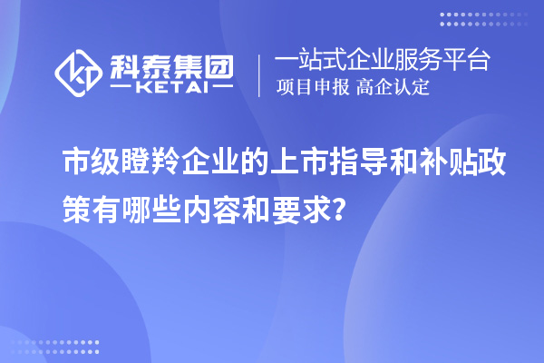 市級瞪羚企業(yè)的上市指導和補貼政策有哪些內容和要求？