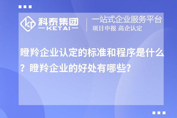 瞪羚企業(yè)認定的標準和程序是什么？瞪羚企業(yè)的好處有哪些？