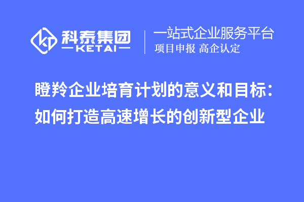 瞪羚企業(yè)培育計劃的意義和目標：如何打造高速增長(cháng)的創(chuàng  )新型企業(yè)