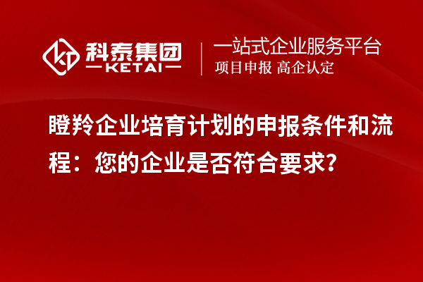 瞪羚企業(yè)培育計劃的申報條件和流程：您的企業(yè)是否符合要求？