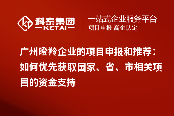 廣州瞪羚企業(yè)的項目申報和推薦：如何優(yōu)先獲取國家、省、市相關(guān)項目的資金支持