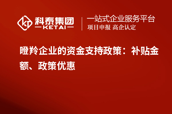 瞪羚企業(yè)的資金支持政策：補貼金額、政策優(yōu)惠