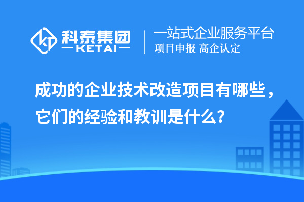 成功的企業(yè)技術(shù)改造項目有哪些，它們的經(jīng)驗和教訓是什么？