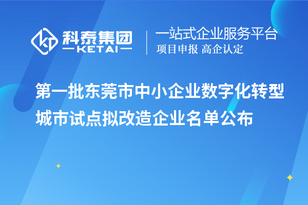 第一批東莞市中小企業(yè)數字化轉型城市試點(diǎn)擬改造企業(yè)名單公布