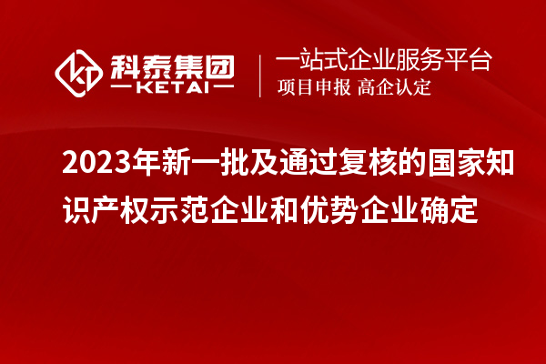 2023年新一批及通過(guò)復核的國家知識產(chǎn)權示范企業(yè)和優(yōu)勢企業(yè)確定