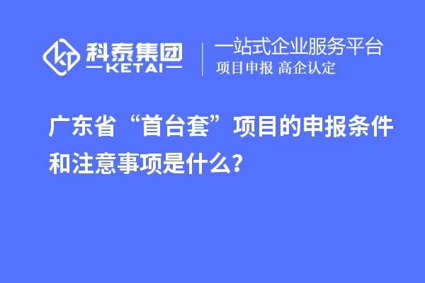 廣東省“首臺套”項目的申報條件和注意事項是什么？