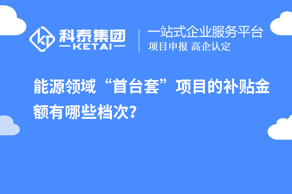 能源領(lǐng)域“首臺套”項目的補貼金額有哪些檔次？