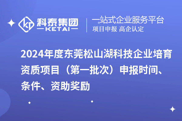 2024年度東莞松山湖科技企業(yè)培育資質(zhì)項目（第一批次）申報時間、條件、資助獎勵