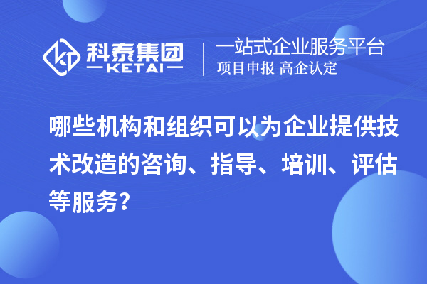 哪些機(jī)構(gòu)和組織可以為企業(yè)提供技術(shù)改造的咨詢、指導(dǎo)、培訓(xùn)、評估等服務(wù)？