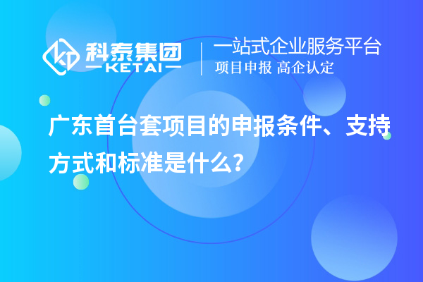 廣東首臺套項目的申報條件、支持方式和標準是什么？