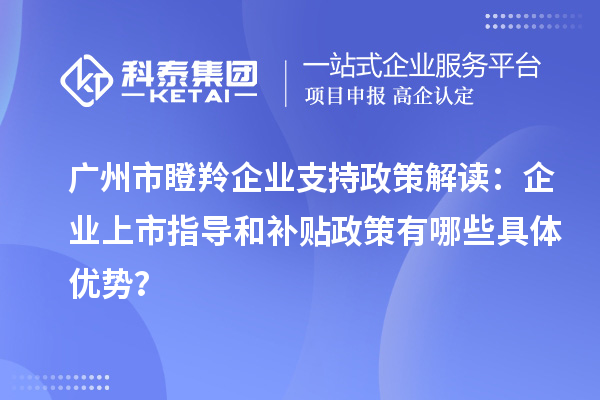 廣州市瞪羚企業(yè)支持政策解讀：企業(yè)上市指導(dǎo)和補(bǔ)貼政策有哪些具體優(yōu)勢？