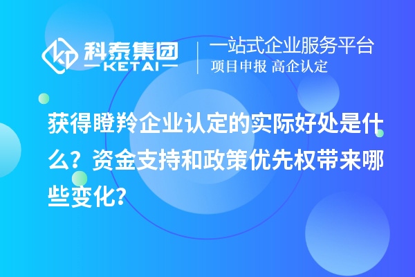 獲得瞪羚企業(yè)認(rèn)定的實(shí)際好處是什么？資金支持和政策優(yōu)先權(quán)帶來哪些變化？