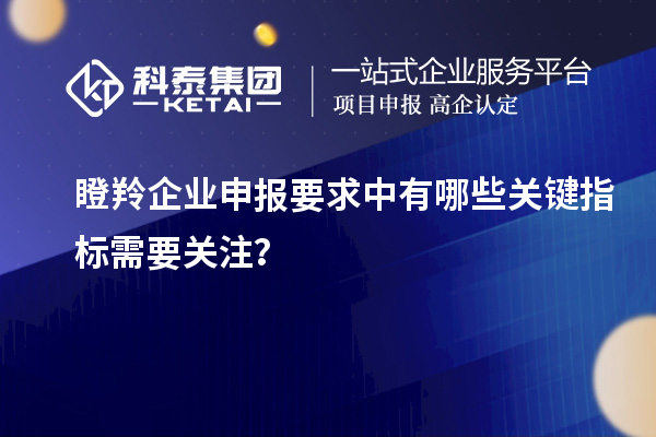 瞪羚企業(yè)申報(bào)要求中有哪些關(guān)鍵指標(biāo)需要關(guān)注？