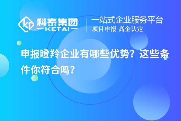 申報瞪羚企業(yè)有哪些優(yōu)勢？這些條件你符合嗎？