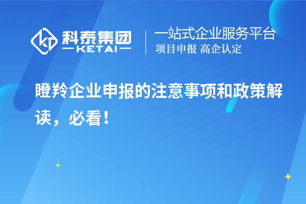 瞪羚企業(yè)申報(bào)的注意事項(xiàng)和政策解讀，必看！