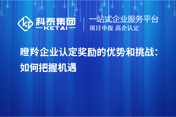 瞪羚企業(yè)認定獎勵的優(yōu)勢和挑戰：如何把握機遇