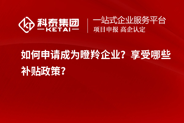 如何申請成為瞪羚企業(yè)？享受哪些補(bǔ)貼政策？