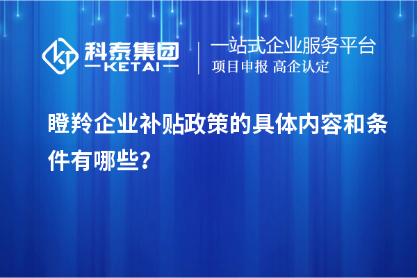 瞪羚企業(yè)補貼政策的具體內容和條件有哪些？