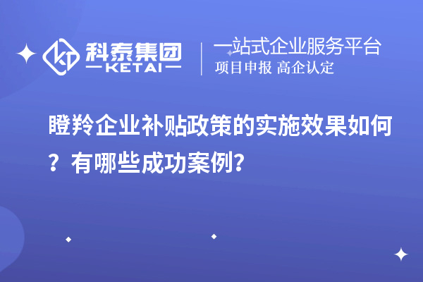 瞪羚企業(yè)補(bǔ)貼政策的實(shí)施效果如何？有哪些成功案例？