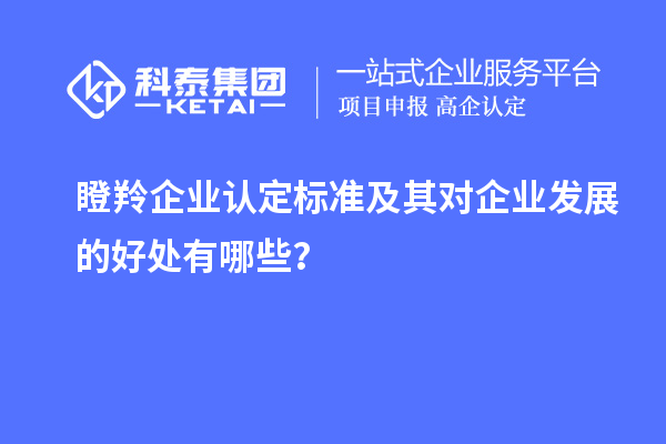 瞪羚企業(yè)認定標準及其對企業(yè)發(fā)展的好處有哪些？