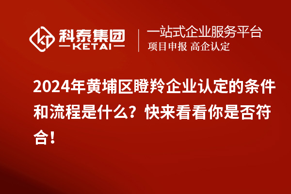 2024年黃埔區瞪羚企業(yè)認定的條件和流程是什么？快來(lái)看看你是否符合！