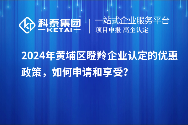 2024年黃埔區瞪羚企業(yè)認定的優(yōu)惠政策，如何申請和享受？