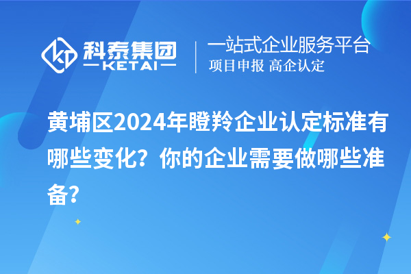 黃埔區2024年瞪羚企業(yè)認定標準有哪些變化？你的企業(yè)需要做哪些準備？