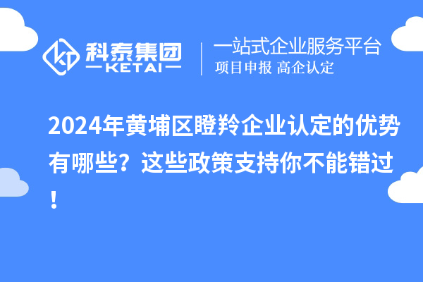 2024年黃埔區瞪羚企業(yè)認定的優(yōu)勢有哪些？這些政策支持你不能錯過(guò)！