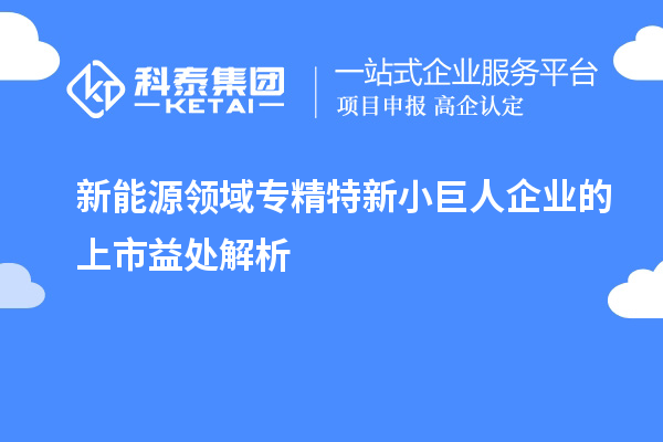 新能源領(lǐng)域專(zhuān)精特新小巨人企業(yè)的上市益處解析