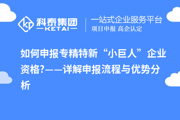 如何申報專精特新“小巨人”企業(yè)資格?——詳解申報流程與優(yōu)勢分析