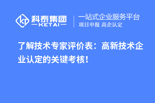 了解技術(shù)專家評(píng)價(jià)表：高新技術(shù)企業(yè)認(rèn)定的關(guān)鍵考核！