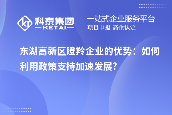 東湖高新區瞪羚企業(yè)的優(yōu)勢：如何利用政策支持加速發(fā)展?