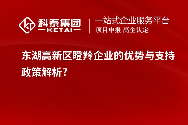 東湖高新區瞪羚企業(yè)的優(yōu)勢與支持政策解析?