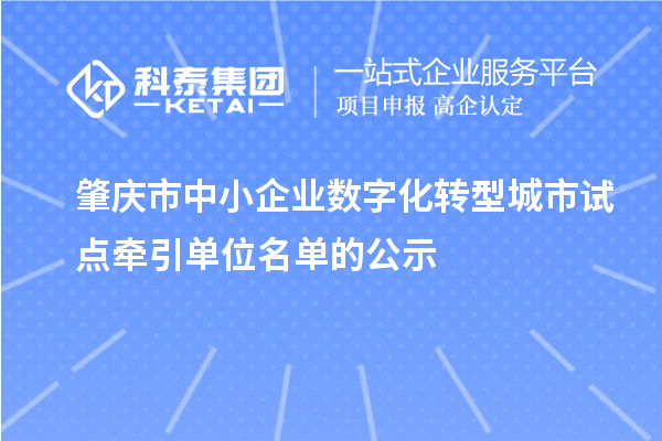 肇慶市中小企業(yè)數(shù)字化轉(zhuǎn)型城市試點牽引單位名單的公示