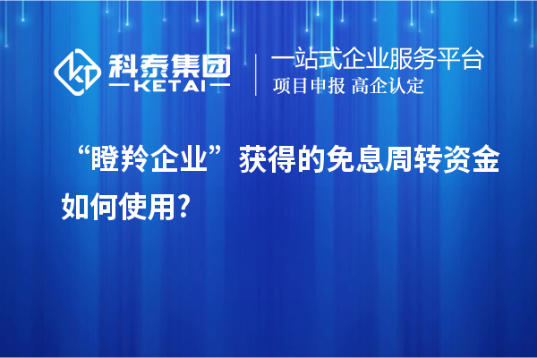 “瞪羚企業(yè)”獲得的免息周轉資金如何使用?