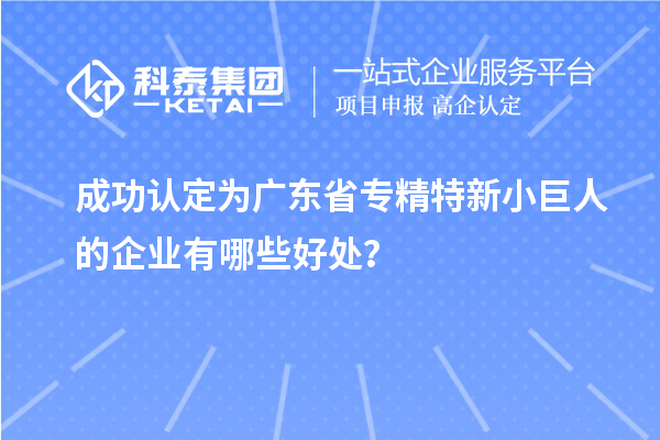 成功認(rèn)定為廣東省專精特新小巨人的企業(yè)有哪些好處？