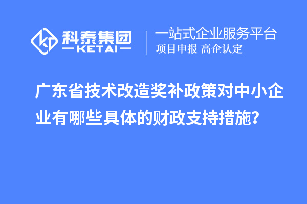 廣東省技術(shù)改造獎補政策對中小企業(yè)有哪些具體的財政支持措施？