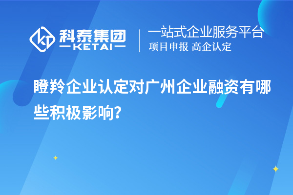 瞪羚企業(yè)認定對廣州企業(yè)融資有哪些積極影響？