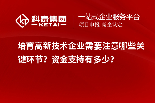 培育高新技術(shù)企業(yè)需要注意哪些關(guān)鍵環(huán)節(jié)？資金支持有多少？