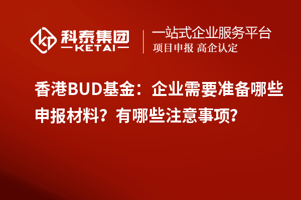 香港BUD基金：企業(yè)需要準備哪些申報材料？有哪些注意事項？