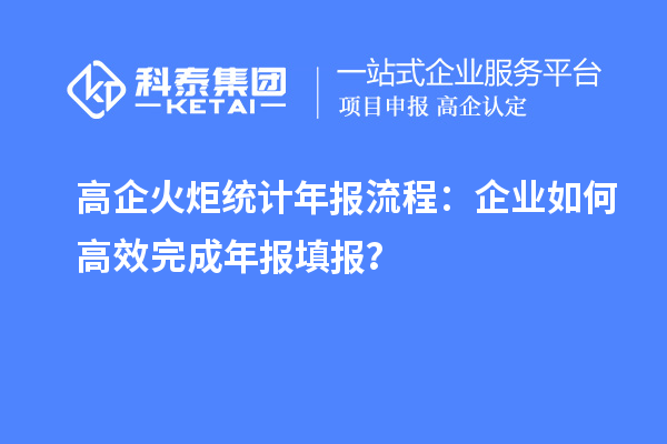 高企火炬統計年報流程：企業(yè)如何高效完成年報填報？