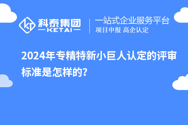 2024年專精特新小巨人認(rèn)定的評(píng)審標(biāo)準(zhǔn)是怎樣的？