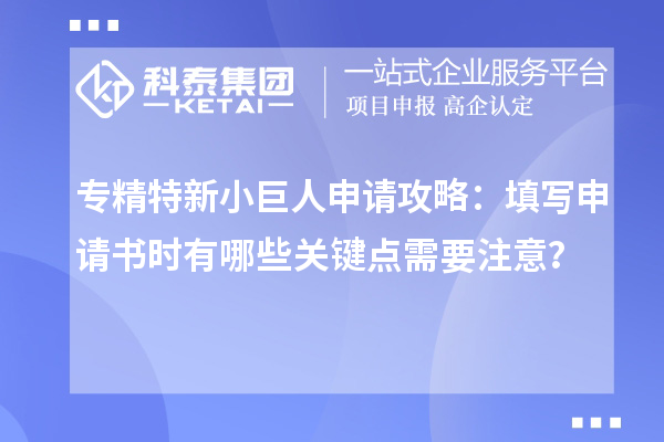 專精特新小巨人申請(qǐng)攻略：填寫申請(qǐng)書時(shí)有哪些關(guān)鍵點(diǎn)需要注意？