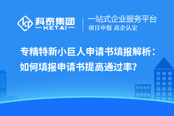 專精特新小巨人申請(qǐng)書(shū)填報(bào)解析：如何填報(bào)申請(qǐng)書(shū)提高通過(guò)率？