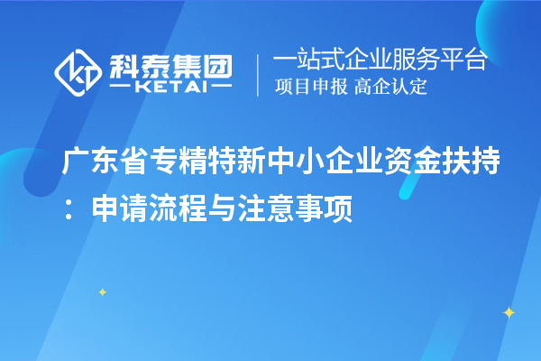 廣東省專(zhuān)精特新中小企業(yè)資金扶持：申請流程與注意事項