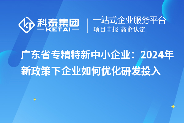 廣東省專(zhuān)精特新中小企業(yè)：2024年新政策下企業(yè)如何優(yōu)化研發(fā)投入