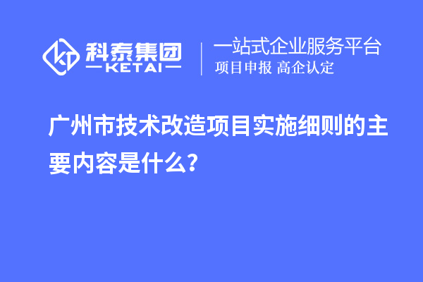 廣州市技術(shù)改造項目實(shí)施細則的主要內容是什么？